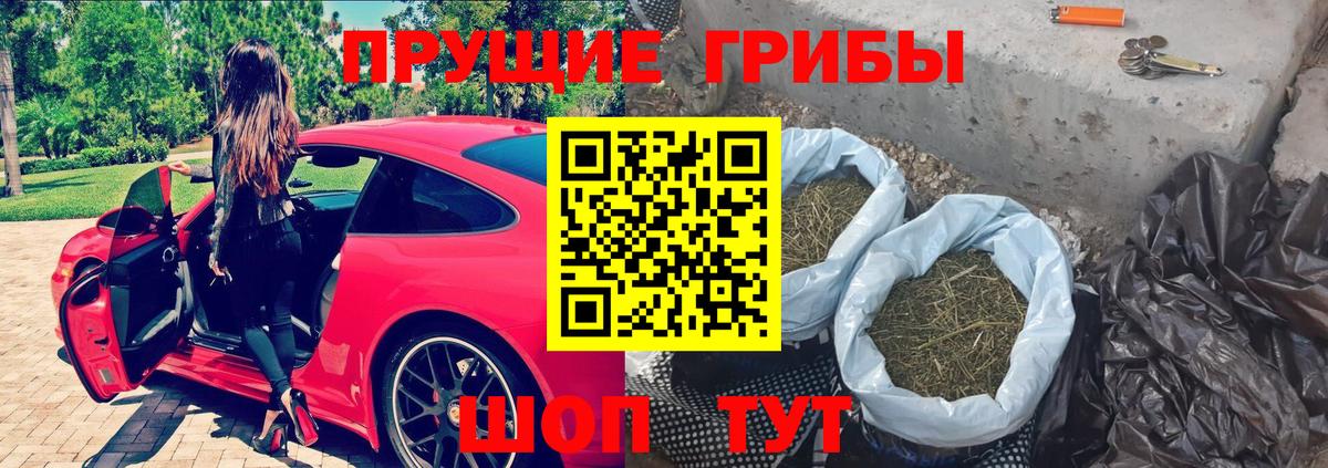 Усть-Джегута  Псилоцибиновые грибы Cubensis  Вход с VPN 